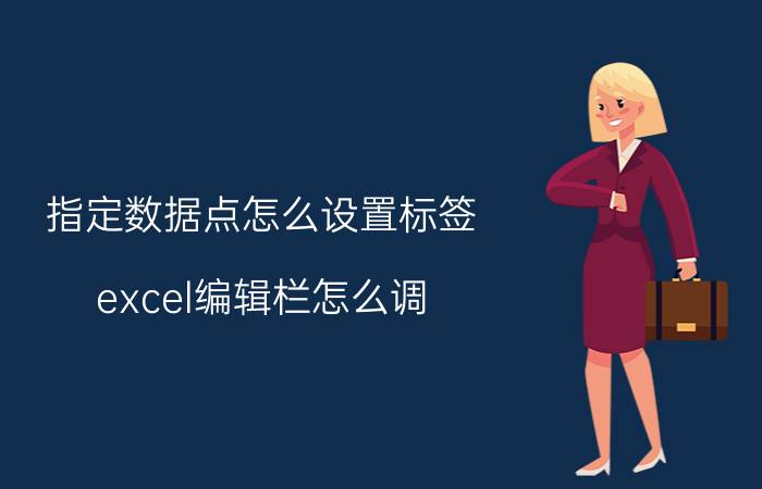 指定数据点怎么设置标签 excel编辑栏怎么调？